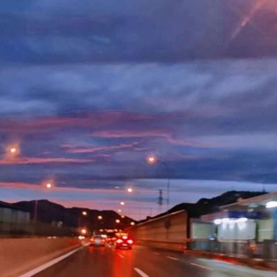 帮帮我喵喵官方版下载