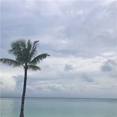 凡人神鬼传手游(暂未上线)v1.0 安卓版